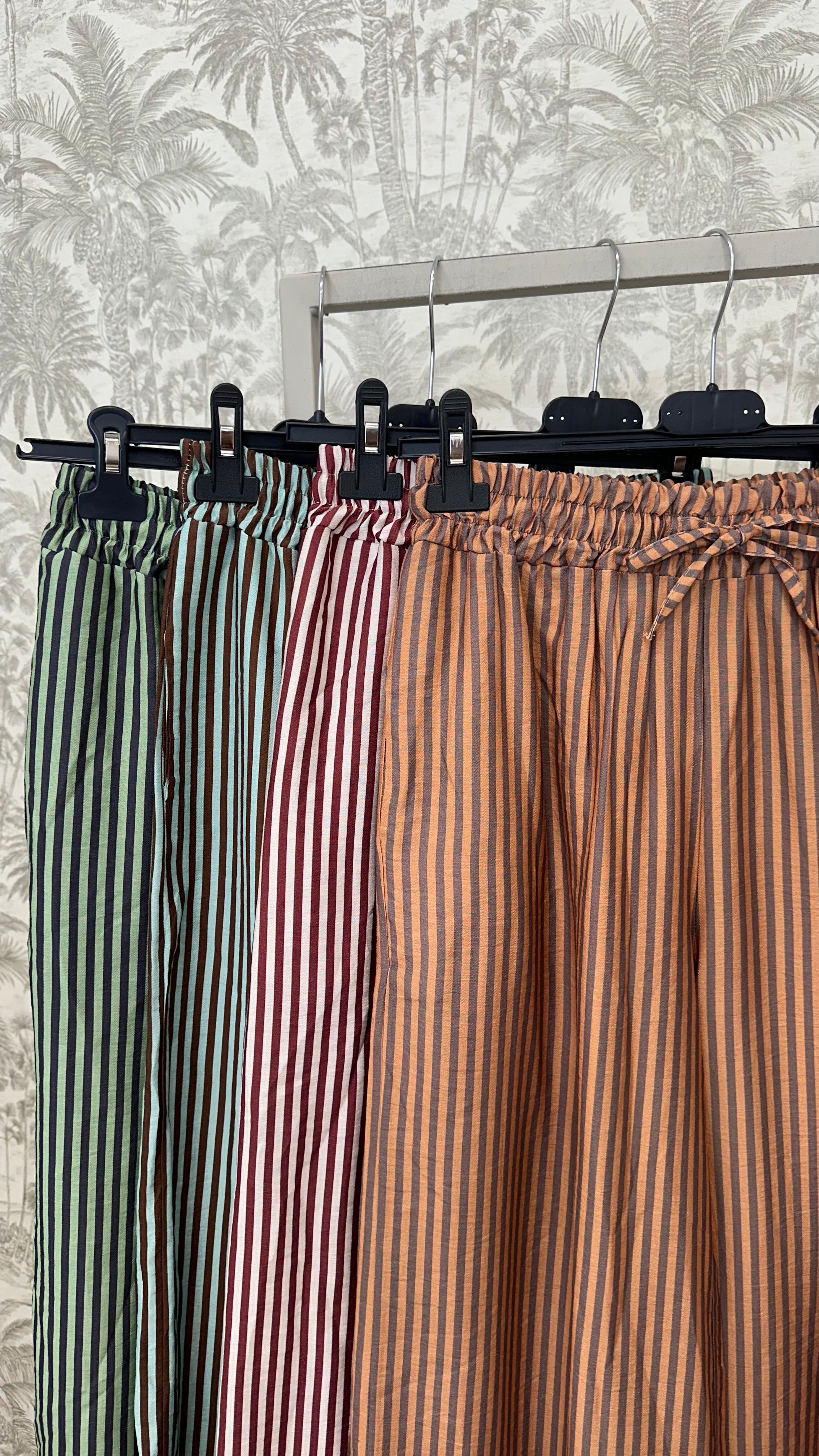 6005058
